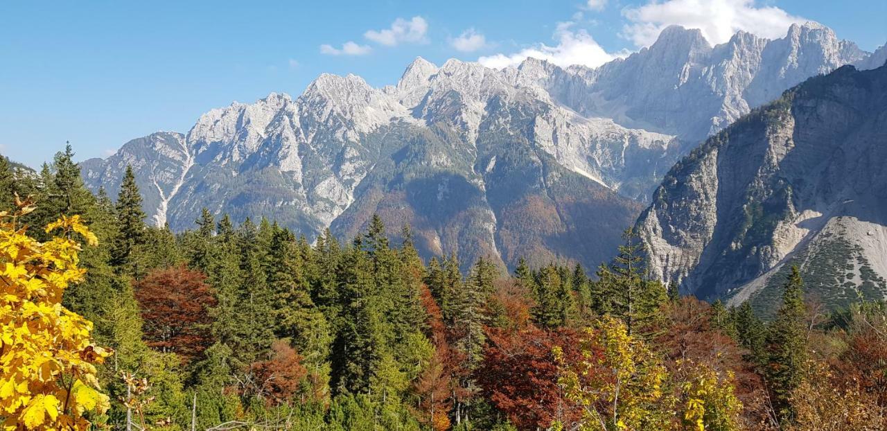 Zajcek Apartma Мойстрана Экстерьер фото